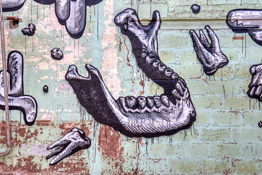 HDR graffiti streetart street-art street art skeleton factory urbex roa klaas van der linden kunst kunstwerk decay verlaten lost place places abandoned
